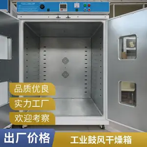 芃奇仪器 RGF工业鼓风干燥箱 304不锈钢内胆 双层钢化玻璃观察窗