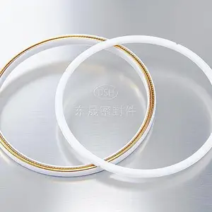 广东石油化工东晟加强型泛塞封密封件厂家