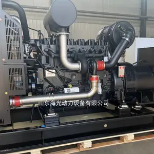 250KW发电机 潍柴动力WP10D320E200星诺发电机工地常用