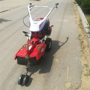 ����������������� �������ũ���ڹ��� 186������԰������