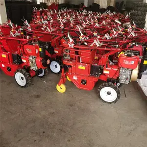 ����ַ������������ջ�� ��¢���а���ժ��� ũ����������ջ��