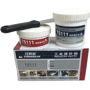 TS111 ������ 500G