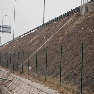 ��ɫ��ɫ���令�� ���������� ����������ϻ���