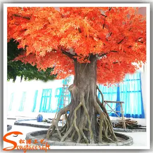 ���������㼦צ�� �������֦Ҷ�辰 �����������������װ��