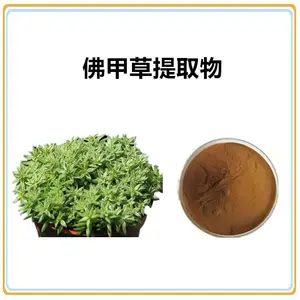 沃特莱斯 佛甲草提取物10:1 速溶粉 棕黄色粉末 多规格可定制