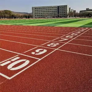 揭阳塑胶跑道施工_揭阳篮球场施工_揭阳足球场施工_田径场地新做