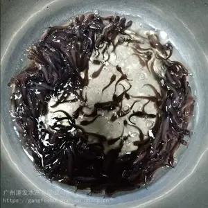 �������Э�����ճ�Ʒ ��������һ��1000�� �ʻ���������