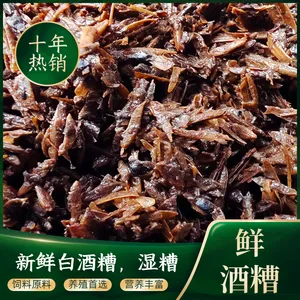 酒糟 鲜白酒糟 蛋白14%以上 水分55%以下 牛羊水产育肥饲料原料