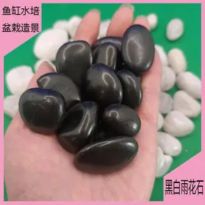 �껨ʯ������������ͥԺװ�α���⻬ ������
