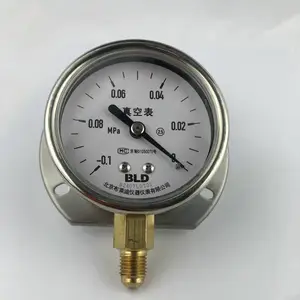 BLD|布莱迪YTF-63|YTF-100|YTF-150径向后边压力表定制接头