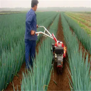 ũ�ò��Ϳ�����չ������������¢��һ�γ���