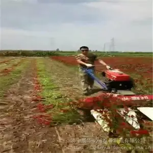 С���ղݻ� ΢�����ݸ�ɹ��