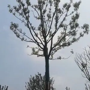 ������������������������������������ɽ�����۸�ȫ�������������Ǽ�������