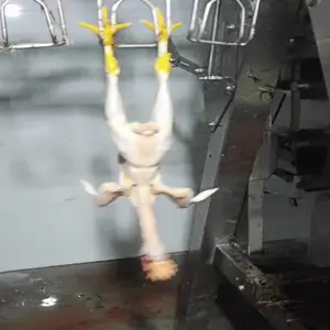 ֱ�����������ߵ���˫�컬�������� �����߹Ҿ��������