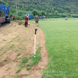 �������� ��ƺ���ع�Ӧ�ͺ��ͼ�̤�伾�Ͳ�ƺ ��Ƥ***��