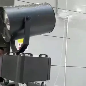 ����-ʥ����-С���˹���ѩ�� ��̨������ѩ�� ����Ʈѩ������
