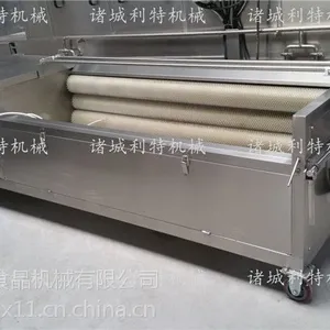 С����ͷ��ϴ�� ��ͷ�ӹ��豸 ��ͷ��ϴ������Ǯ