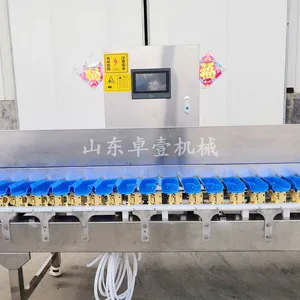 全自动不锈钢高精度海产品药材重量分选机 大型转盘式鸡翅分拣机