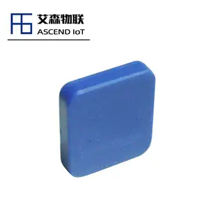 ������Ӧ��ƵRFID���ܽǷ� ��оƬ������ǩ
