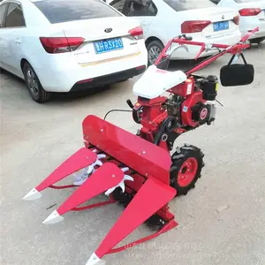 �����Ŀݲ��ո�� ţ��ͷС�͸�ɹ�� ˫�Ų����ո��