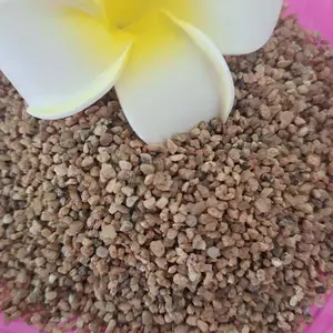ˮϴ��Ŀ���ɳ 20-40Ŀ ������ �����ú�ɳ ��ɫ