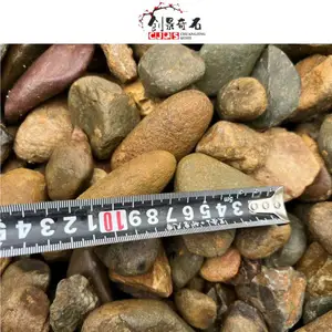 辽宁营口鹅卵石供应-营口各规格杂色鹅卵石-营口鹅卵石铺设小径