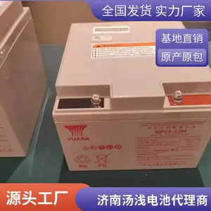 YUASA汤浅蓄电池NP225-12 12V225AH通信机房 光伏发电 直流屏 UPS电源