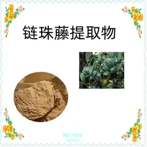 �ƾ���ȡ��10:1 ������˹ �ƾ���ȡҺ �ϻ���/��צ��Ũ���� 1KG����