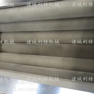 С����ͷ��ϴ�� ��ͷ�ӹ��豸 ��ͷ��ϴ������Ǯ