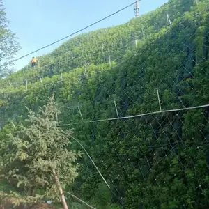 惠州市草籽东莞边坡绿化深圳护坡施工队河源灌木种子供应