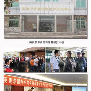 育肥牛专用预混料招商牛饲料代理