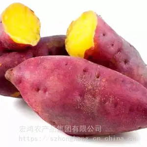 红薯食材配送公司