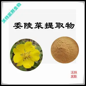 娌冪壒鑾辨柉鐢熺墿 濮旈櫟鑿滄彁鍙栫墿10:1 钀冨彇绮 妫曢粍鑹茬矇鏈 鍙按婧