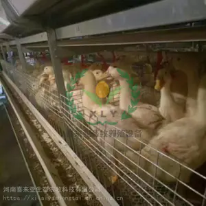 ��������Ѽ�豸����-�Զ���Ѽ���豸����-��Ѽ��