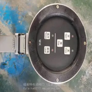 DZW20-24-100-WK�����ŵ綯��ִ�л���DZW30-24-100-WK�綯װ��