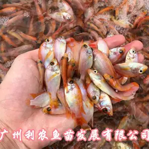 �Ĵ����ݲʺ�����������㽭���ݺ��޷���������