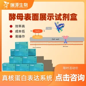 酿酒酵母表面展示试剂盒-高效-稳定-南京瑞源生物