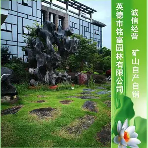 江苏大厦门口太湖石景观 庭院黑色太湖石景石 广东黑色景观石?4