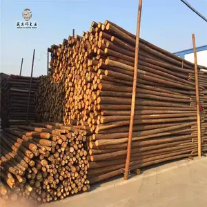 天津厂家批发景观木桩绿化木桩防洪木桩 可配送
