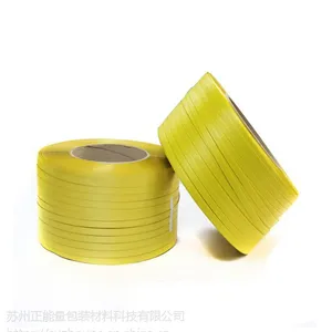 znl常熟绿色尼龙印花PET打包带PP包装带可订做