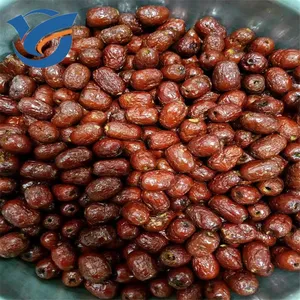 �½�����ӹ��豸 ��յ�����ը�� ��������ʳƷ��ը�� ����ֱ��