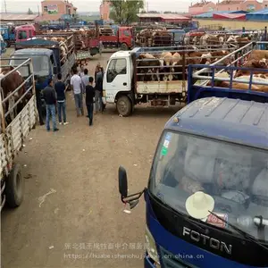 �Ĵ�������ţ��ֳ��_����ţ��ֳ����Ҫ���ֻ���_�Ĵ�üɽ��ţ��ֳ