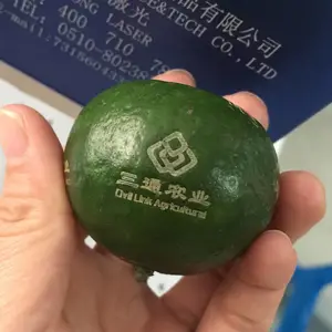 ��Ӧ��������ƻ�����Ӽ��������Ƥ���ֶ�����̼������ֻ�
