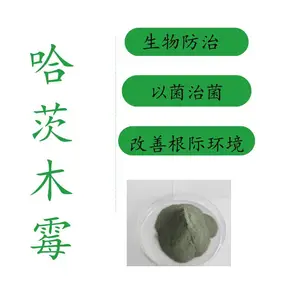 ��Ӧ�ݺ� ����ľù 100��/�� ��������������� �Ծ��ξ�