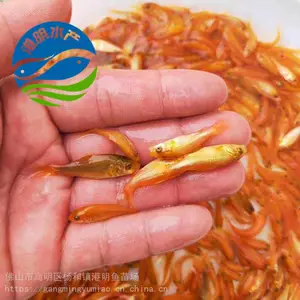 ����ˮ����ֳ���� �������� �������ˮ���� �ʻ����