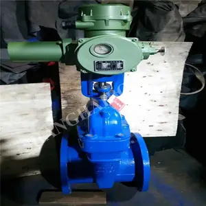 Z945X-25C �����͵綯�������ⰵ��բ�� ����ʽ����բ�� ��������ˮ����