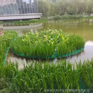 椰棕浮动湿地,水体绿化植物浮岛,人工浮岛
