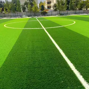 ¥�̿���Χǽ��¥�������������ƺ�����ŶӰ��̰���