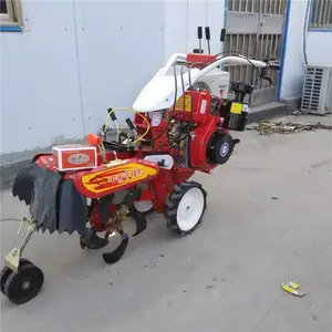 ����С�������� ��������΢���� �๦�ܴ��￪����¢��