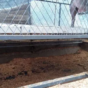 ���汦���ʹ����Ϸ��ͼ� ��̨���ʹ����� ������ϳ����ֽ��������� �������ʹ�����